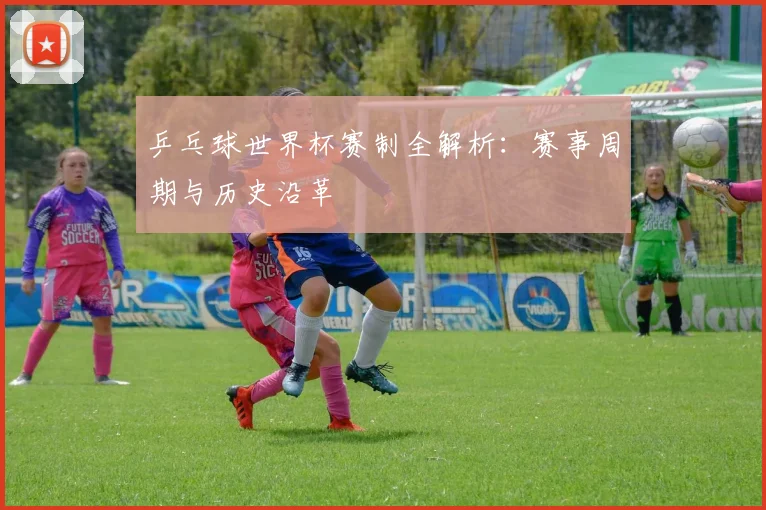 乒乓球世界杯赛制全解析：赛事周期与历史沿革