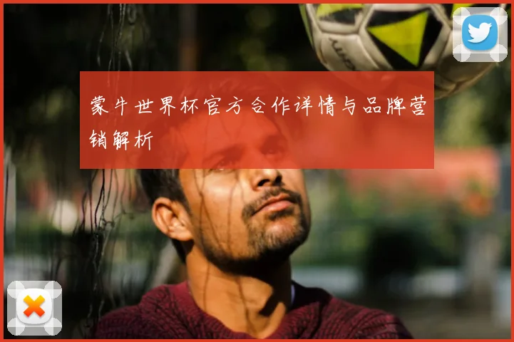 蒙牛世界杯官方合作详情与品牌营销解析