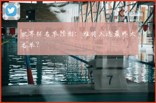 世界杯名单预测：谁将入选最终大名单？