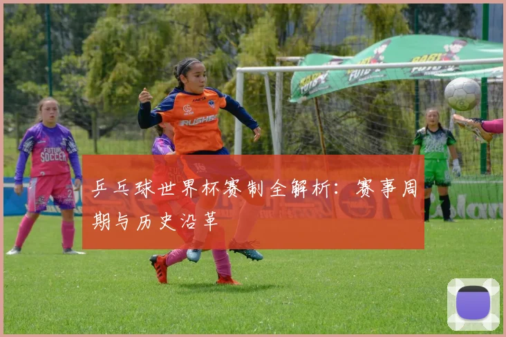 乒乓球世界杯赛制全解析：赛事周期与历史沿革
